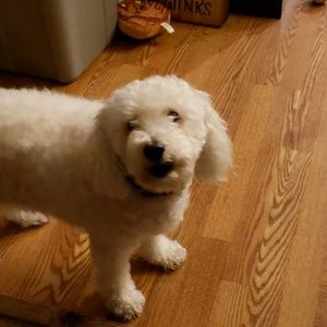 Meet your Posher, Michelle